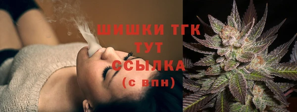 PSILOCYBIN Балахна